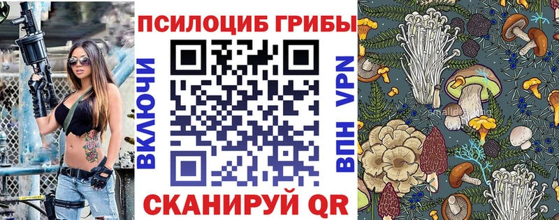 Купить где  Благовещенск  Псилоцибиновые грибы Cubensis 